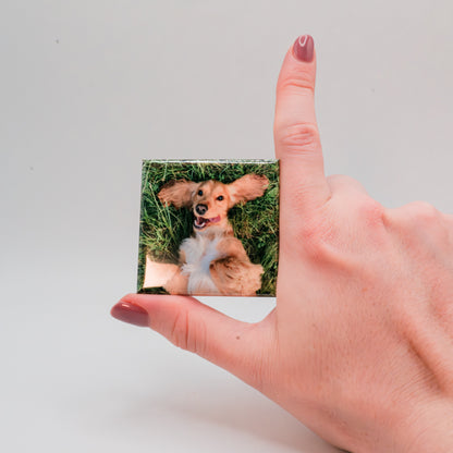 custom photo magnets